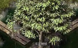 回归开荒选沉默版本？这份清单帮你3分钟理清思路